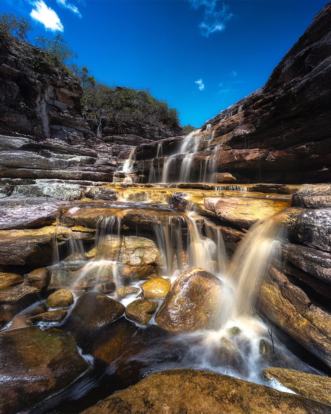 📍 Mucugê, BA - Chapada Diamantina
.
E seguimos com as belíssimas paisagens de Mucugê, na Chapada Diamantina! Mais uma das várias quedas d'água que se pode visitar na trilha das Sete Quedas.
.
Não sei se essa cachoeirinha tem nome, porque são muitas ao longo da trilha que vai descendo o rio, mas achei essa a mais fotogênica, porque formavam várias quedas com uma altura relativamente grande. Mas o bom mesmo era ficar embaixo dela, uma verdadeira hidromassagem!
.
E dá pra fazer foto de cachoeira em dia de céu azulíssimo e sol a pino? Pelo visto, dá! 😉
.
#mucuge #chapadadiamantina #bahia #cachoeiradasandorinhas #mucugebahia #cachoeira #longaexposicao #visitemucuge #waterfall #waterfallphotography #landscapephotography #brnaturallandscapes #brazil_repost #brasil_destaque #ig_brasilnafoto_ #topofnatureza #melhor_brasil_ #topofbrazil #brazilnatural #fotografiadepaisagem #suafoto #brunononogaki #bestphotosinbrazil