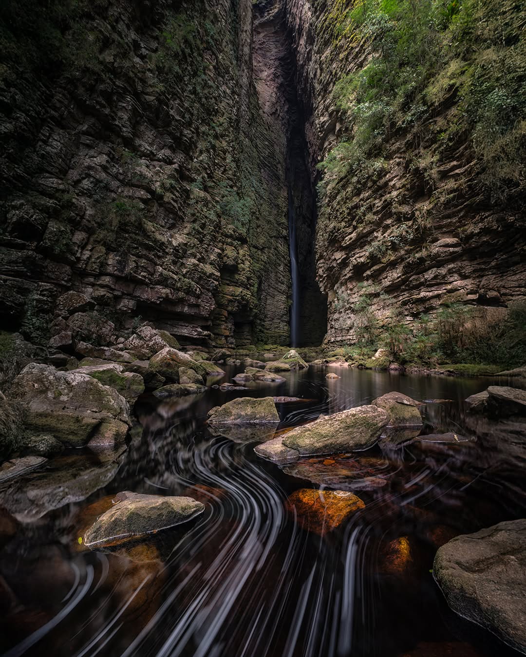 📍 Cachoeira da Fumacinha - Ibicoara, BA
.
A chegada na Cachoeira da Fumacinha é um verdadeiro cenário de filme! Depois de quase 9km de trilha, é emocionante chegar nessa vista da fenda do Canion com a cachoeira caindo lá dentro.
.
Mas para chegar nessa foto, tive que dar uma roubada... e o truque tá no vídeo no meu canal! :)
.
#ibicoara #chapadadiamantina #bahia #cachoeiradafumacinha #ibicoarabahia #longaexposicao #visiteibicoara #waterfall #waterfallphotography #landscapephotography #brnaturallandscapes #brazil_repost #brasil_destaque #ig_brasilnafoto_ #topofnatureza #melhor_brasil_ #topofbrazil #brazilnatural #fotografiadepaisagem #suafoto #brunononogaki #bestphotosinbrazil