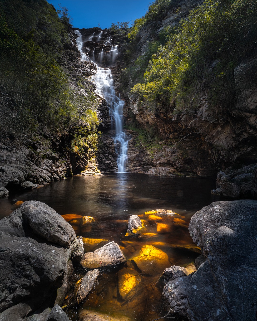📍 Cachoeira do Licuri - Ibicoara, BA
.
No nosso último dia em Ibicoara, na Chapada Diamantina, aproveitamos a parte da manhã para conhecer uma cachoeira que fica lá pertinho: A Cachoeira do Licuri!
.
Nem estava botando muita fé nela, pra ser sincero, e estávamos encarando como um passeio extra só para aproveitar a manhã, antes de voltarmos.
.
Mas fiquei totalmente incrédulo tamanha beleza do lugar! A cachoeira era super alta, com um belo poço para banho tanto na parte de baixo quanto na parte de cima; trilha incrivelmente linda, e para terminar, a gente chega na Cachoeira Raizes, que foi uma das mais fotogênicas que já fotografei (próximos posts).
.
A Chapada Diamantina nos surpreendeu do começo ao fim! Lugar especial!
.
E tem vídeo desse lugar lá no canal! ;)
.
#ibicoara #chapadadiamantina #bahia #cachoeiradolicuri #cachoeiraraizes #ibicoarabahia #longaexposicao #visiteibicoara #waterfall #waterfallphotography #landscapephotography #brnaturallandscapes #brazil_repost #brasil_destaque #ig_brasilnafoto_ #topofnatureza #melhor_brasil_ #topofbrazil #brazilnatural #fotografiadepaisagem #suafoto #brunononogaki #bestphotosinbrazil