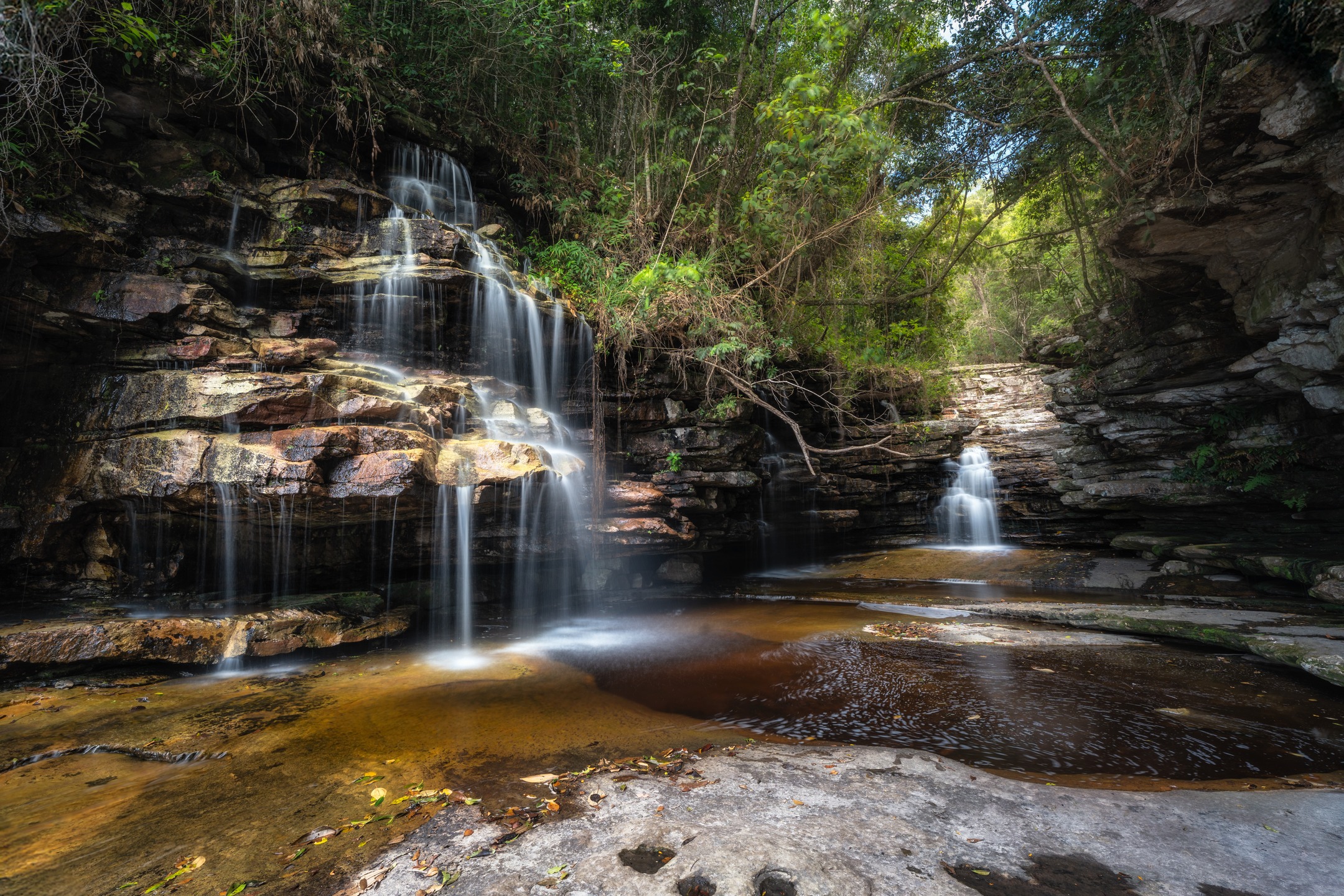 📍 Cachoeira Raízes - Ibicoara, BA
.
Mais um pouco da Cachoeira Raizes, em Ibicoara - Chapada Diamantina! Esse é um daqueles lugares que você pode ficar horas, que não vão faltar ângulos para fotografar essas belas quedas d'água!
.
#ibicoara #chapadadiamantina #bahia #cachoeiradolicuri #cachoeiraraizes #ibicoarabahia #longaexposicao #visiteibicoara #waterfall #waterfallphotography #landscapephotography #brnaturallandscapes #brazil_repost #brasil_destaque #ig_brasilnafoto_ #topofnatureza #melhor_brasil_ #topofbrazil #brazilnatural #fotografiadepaisagem #suafoto #brunononogaki #bestphotosinbrazil