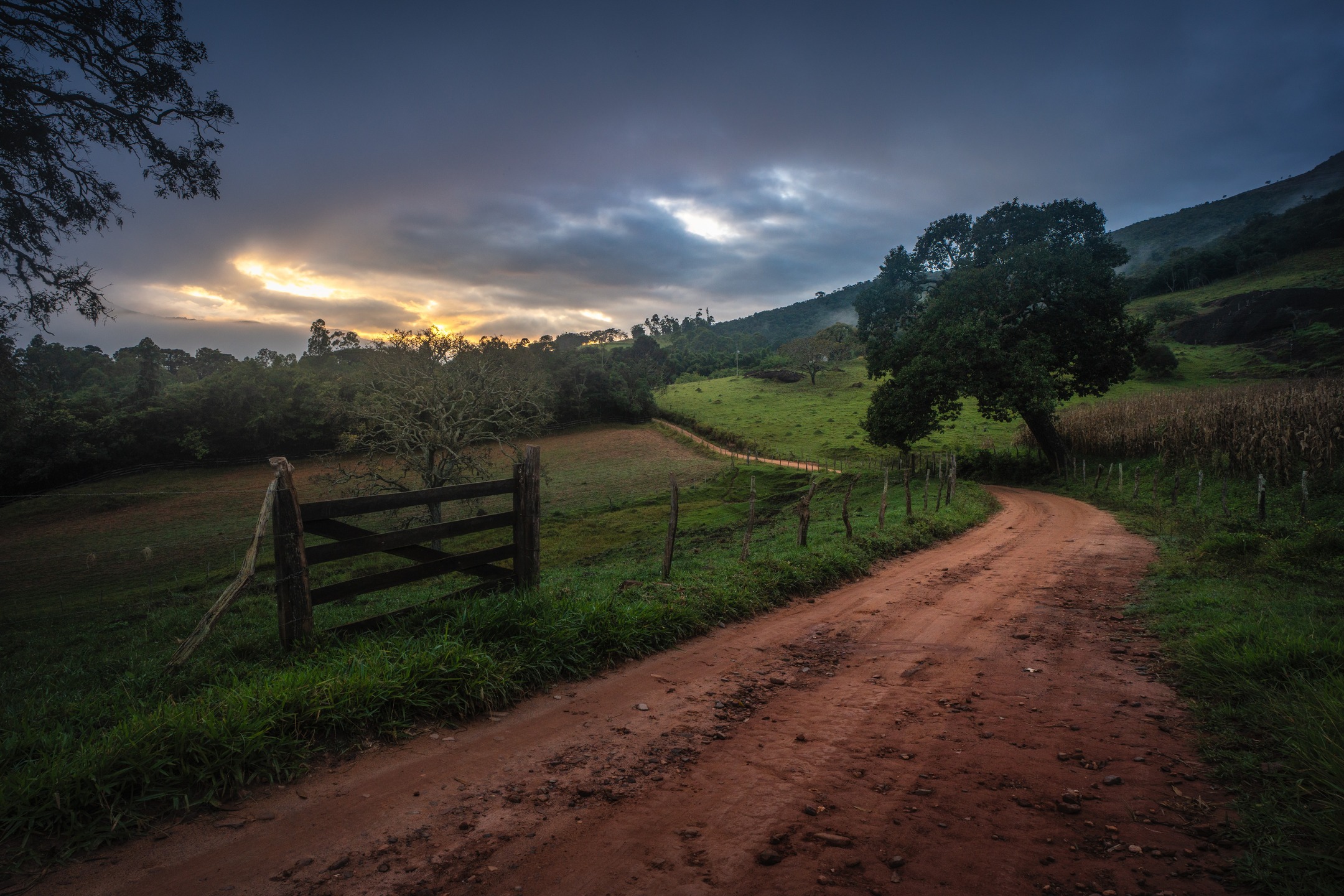 Adoro fotografar essas paisagens de sítio, estradinhas de terra, cerca de madeira. Me faz lembrar a infância, quando íamos no sítio em Atibaia e eu acordava com o som das rolinhas fogo-apagou.
.
E o som dessa foto era justamente esse. Os fogo-apagou faziam aquele canto característico da roça, enquanto os galos cantavam ao fundo, e uma vaca andava sobre o pasto numa propriedade no meu lado direito, fazendo barulho enquanto pisavam na grama seca.
.
Uma simples foto que carrega um sentimento de nostalgia.
.
#baependi #serradopapagaio #aiuruoca #roça #sítio #zonarural #minasgerais #mg #uai #minastamen #visiteminasgerais #mountains #suldeminas #woods #floresta #parqueestadualdaserradopapagaio #landscapephotography #brnaturallandscapes #brazil_repost #brasil_destaque #ig_brasilnafoto_ #topofnatureza #melhor_brasil_ #topofbrazil #brazilnatural #fotografiadepaisagem #suafoto #brunononogaki #bestphotosinbrazil