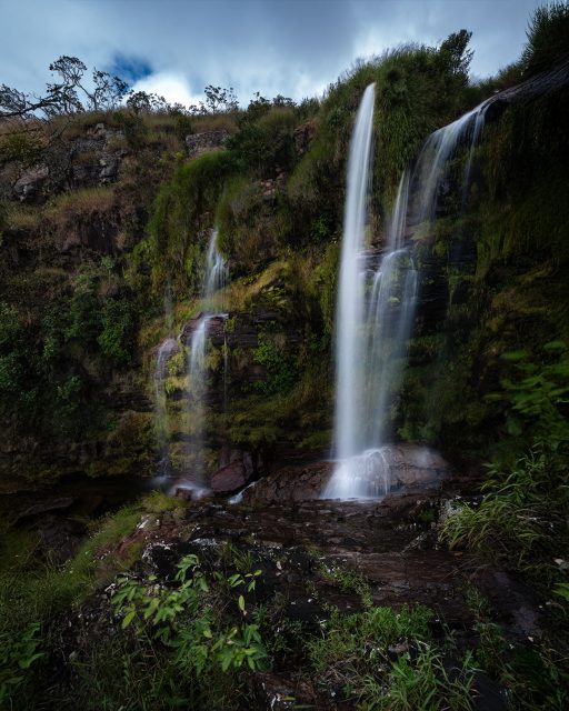 A trilha da Cachoeira do Jota, na Serra da Canastra, acessa o poço principal na parte de baixo, e depois uma cachoeirinha na parte de cima, que eu não achei tão fotogência. Mas no meio desse caminho, vimos que tinha uma queda intermediária, que era bem maior e promissora para fotografia!
.
Não sei se tem uma trilha bem demarcada para ela, mas seguimos algumas partes que o mato estava um pouco mais pisado, e com um pouco de empenho finalmente chegamos nessas quedas!
.
Aqui o acesso é mais complicado, a pedra parecia um sabão, e qualquer descuido poderia ocasionar num acidente mais grave. Portanto, ficamos um pouco mais pra trás, onde ainda tinha um pouco de mato para dar mais aderência nos calçados. E de lá mesmo fiz essa foto, que na minha opinião, foi a que mais gostei dessa pequena cachoeira em São João Batista.
.
.
#serradacanastra #saojoaobatista #saoroquedeminas #mg #cachoeiradojota @saojoaodacanastra