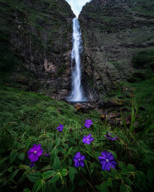 Islândia? Indonésia? Nova Zelândia?
.
Que nada, essa aqui é mineirinha, direto da nossa Serra da Canastra. A Cachoeira Casca d'Anta é a maior queda que forma o Rio São Francisco! Sim, ele mesmo, o Velho Chico! Aquele que percorre todo o Nordeste brasileiro, e é um dos rios mais importantes do nosso país!
.
Aproveitei essa manhã nublada (clima perfeito para fotografia de cachoeira, diga-se de passagem) para fazer essa foto bem dramática, com as flores roxas contrastando com a paleta esverdeada da cena.
.
#cascadanta #cachoeiracascadanta #serradacanastra #parquenacionaldaserradacanastra #landscapephotography
