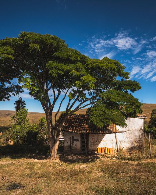 Muitas vezes a fotografia não está somente naquela luz épica de nascer/pôr-do-sol, nem naquela paisagem super impressionante com montanhas, cachoeiras e lagos espelhados.
.
Está em momentos simples como esse, um dia de um céu azul, uma casinha abandonada, e a sombra de uma árvore.
.
#serradacanastra #saojosedobarreiro #valedababilonia #caminhodoceu #saoroquedeminas #mg #minasgerais #brazil