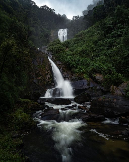 A Trilha do Ouro, também conhecida como Caminho de Mambucaba, é uma travessia de 50km que começa na cidade de São José do Barreiro - SP, e termina na vila histórica de Mambucaba - RJ, atravessando o Parque Nacional da Serra da Bocaina.
.
Durante o Ciclo do Ouro, no final do século XVII, esse caminho era uma trilha indígena, sem qualquer infraestrutura e com pouco movimento, e por isso era uma rota de contrabando, que fugia das barreiras dos caminhos oficiais.
.
Foi só no século XIX, com o apogeu do café, que essa estrada passou a ser utilizada oficialmente para transportar a produção até o porto. Com isso, a via recebeu calçamento, pontes e benfeitorias, feitas com trabalho escravo. Muito desse calçamento de pedra e ruínas se vê hoje em dia, nos fazendo perceber e imaginar quanta dor e sofrimento essa paisagem já presenciou.
.
A estrada só começou a cair em declínio a partir de 1870, quando o café começou a ser transportados por trens; e depois com a abolição da escravatura em 1888, que reduziu drasticamente a produção de café do Vale do Paraíba.
.
É uma trilha com muita história, muitas paisagens, muita mata atlântica. Essa foto é da Cachoeira dos Veados, a mais bonita que visitamos nessa travessia!
.
Se quiser ver como foi o rolê, tem vídeo fresquinho no canal! 
.
#trilhadoouro #saojosedobarreiro #mambucaba #caminhodemambucaba #cachoeiradoveado #serradabocaina #parquenacionaldaserradabocaina