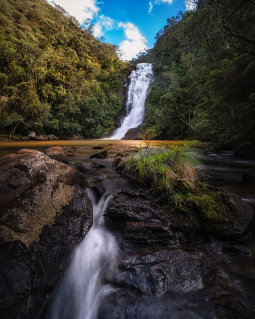 A Cachoeira do Santo Isidro foi a primeira que visitamos na travessia da Trilha do Ouro.
.
Ela fica bem pertinho da portaria do Parque Nacional da Serra da Bocaina, em São José do Barreiro, e é tranquilamente acessada por visitantes que não estão fazendo toda a travessia, pois com cerca de 1km de trilha já se chega nela.
.
Poço de água super gelada, mas excelente para banho! Para fotografia eu achei mais difícil, porque o poço é muito grande e não tem muitas coisas no primeiro plano para compor.
.
Em cachoeiras assim, a dica é tentar ir para o lado onde ela escorre, formando as corredeiras e o rio. Geralmente dali é mais fácil encontrar elementos para compor no primeiro plano!
.
#serradabocaina #cachoeirasantoisidro #trilhadoouro #caminhodemambucaba #parquenacionaldaserradabocaina