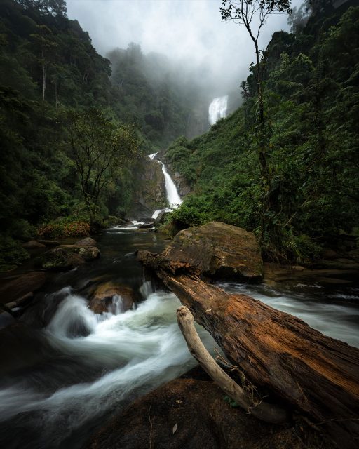 Da série: Fotos que não fazem sucesso no Instagram! hahahaha
.
Clima moody, pouca saturação, poucas cores, aquele ar introspectivo... tudo que a galera não gosta! Mas eu sim gosto, e gosto mto!
.
Fotografar em climas assim pra mim é quase garantia de fotão. Sem céus azuis, sem sol forte, só o drama que uma cachoeira dessas pede!
.
Essa é a Cachoeira dos Veados, um dos highlights da Trilha Do Ouro! Dizem os contos que Dom Pedro costumava caçar nesse lugar, olha só que doido, né?
.
#serradabocaina #cachoeiradosveados #trilhadoouro #caminhodemambucaba #parquenacionaldaserradabocaina