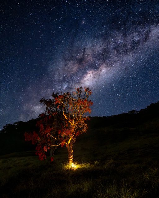 Essa noite na Pousada do Zé do Zico foi inesquecível! Depois de uma dia longo de caminhada na Trilha do Ouro, com as pernas moídas e o corpo cansado, tivemos um jantar maravilhoso e uma cama para descansar.
.
Enquanto a fogueira esquentava a roda e tomávamos o nosso vinho, não pude resistir ao céu super estrelado e resolvi tentar alguma foto com a via láctea. Queria fazer a foto com uma árvore linda que tinha lá do lado, com as flores vermelhas formando cachos.
.
Mas na escuridão da noite, era impossível fazer a foto mostrando essas cores. Foi quando tive a ideia de iluminá-la com um led de baixo para cima, fazendo com que a árvore se destacasse no primeiro plano com a Via Láctea bombando ao fundo!
.
E o resultado foi esse. Não poderia ter ficado mais satisfeito com ele!
.
Depois dessa, era hora de dormir. E que noite maravilhosa tivémos!
.
#serradabocaina #milkyway #vialactea #nightsky #trilhadoouro #caminhodemambucaba #parquenacionaldaserradabocaina